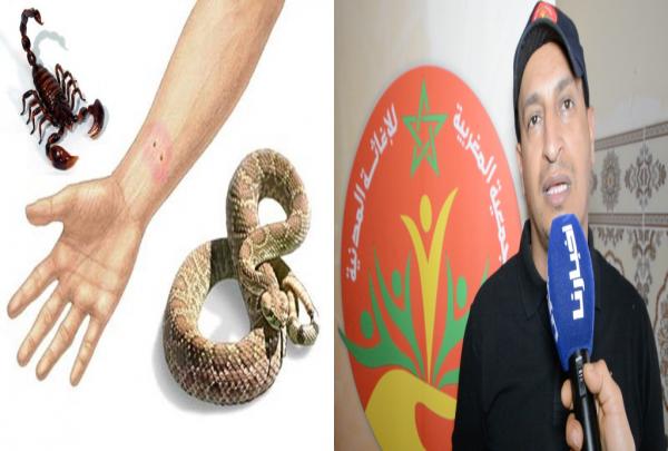 الراجي : المركز المغربي لمحاربة التسمم يوفر علاجات مجانية في حالة التعرض للدغات العقارب والأفاعي